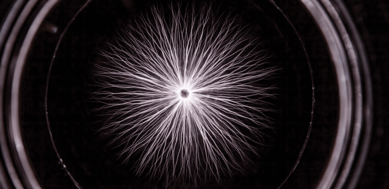 Electricity under a microscope