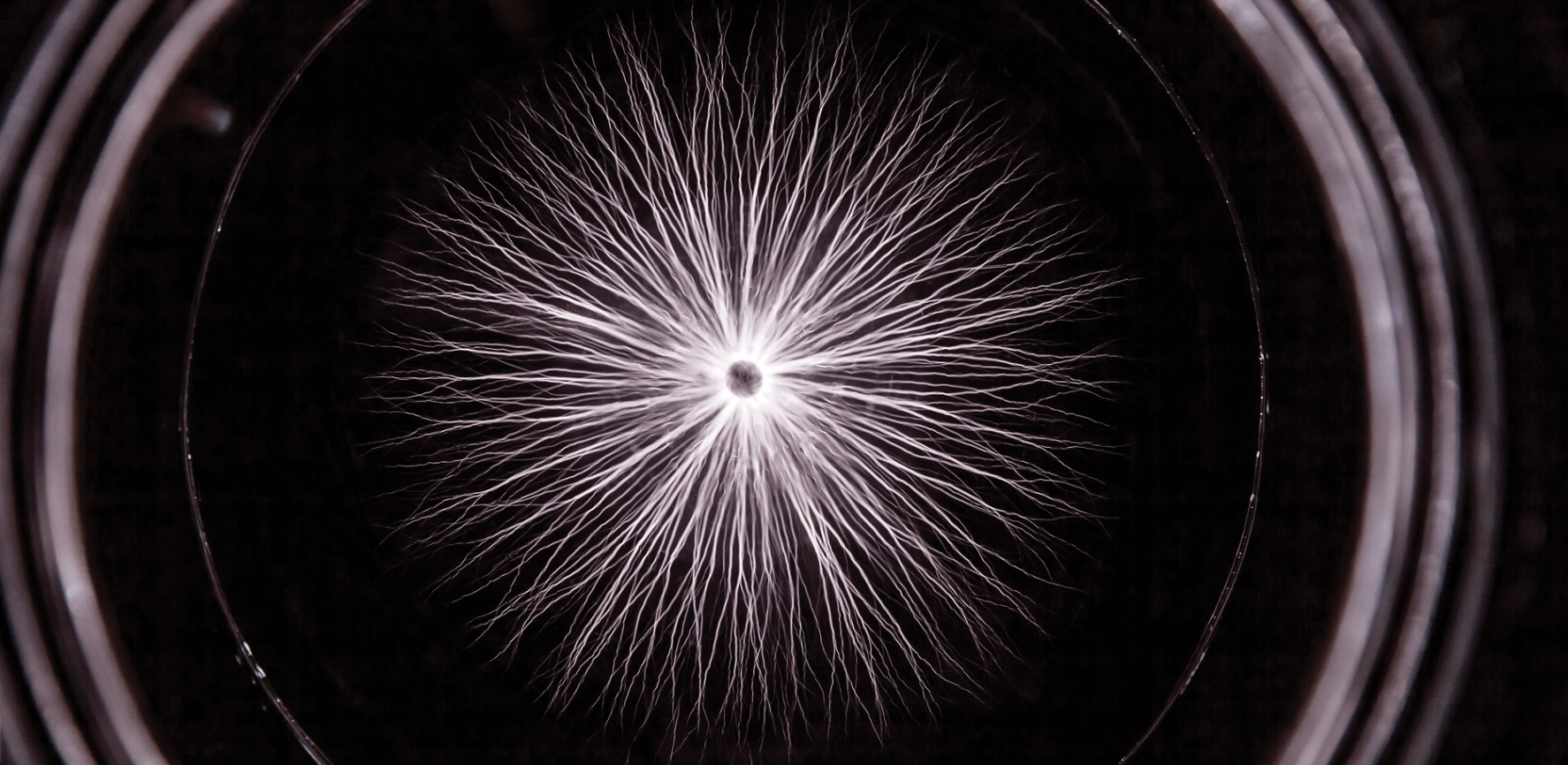 Electricity under a microscope